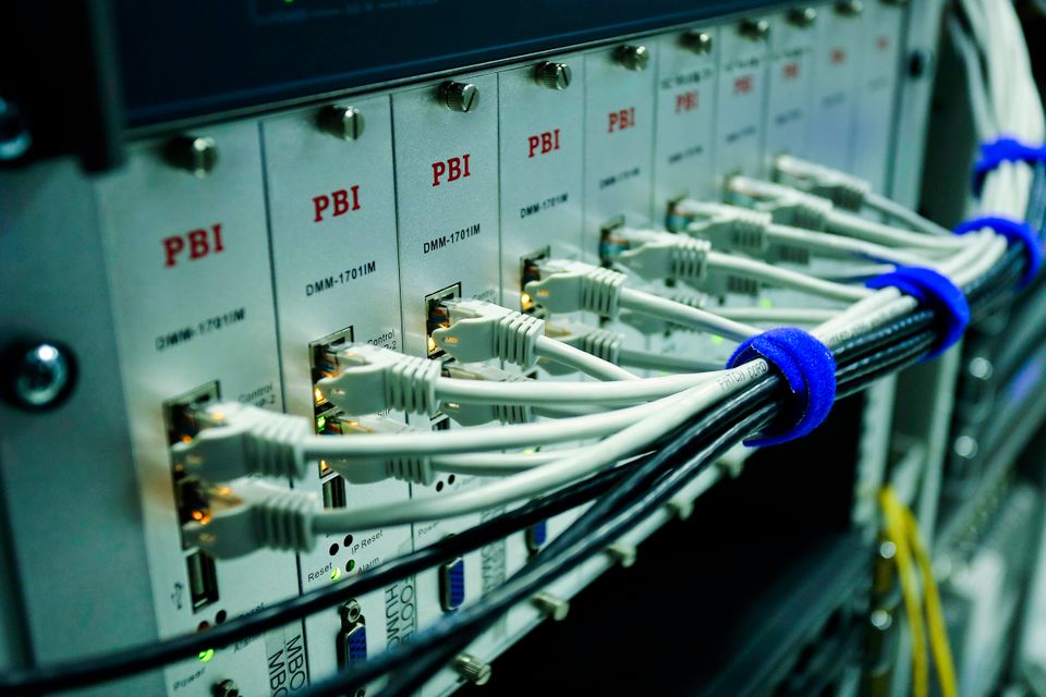 Network cables plugged into a switch