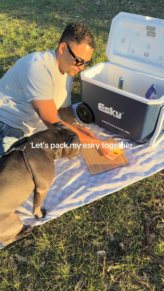 Esky reel cover